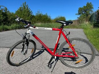 Bicykel Author Basic SX