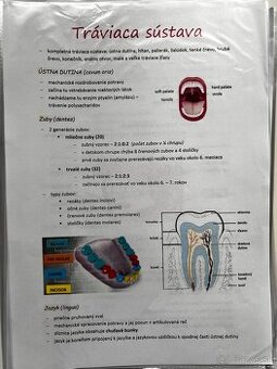 Maturita, príjmačky z biológie