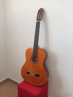 klasická gitara Valencia VC104