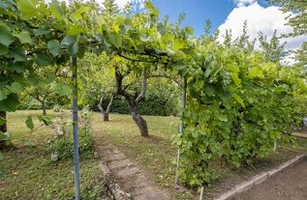 EXKLUZÍVNE : NA PREDAJ SLNEČNÁ ZÁHRADA NA SUCHOM VRCHU - 1