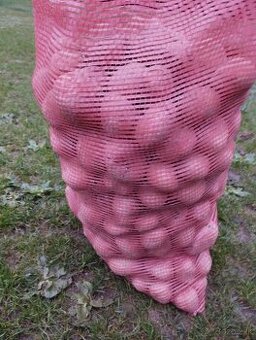 Zemiaky Marabel, Anuschka