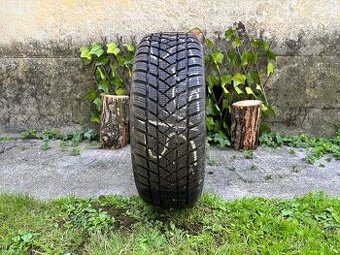 GT Radial Winter pro2 - 1