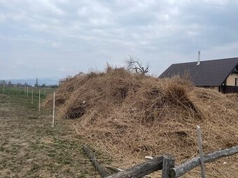 Odvoz a likvidácia rákosu