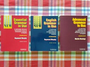 English Grammar in Use