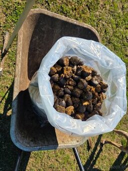 Vrecovany konský hnoj