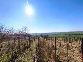 Predám rekreačný pozemok