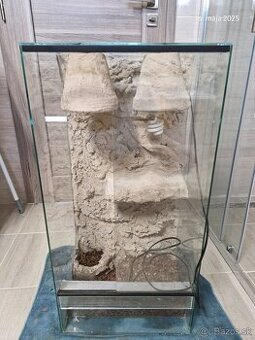 Terarium