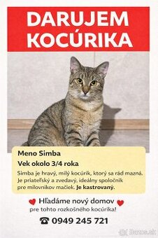 Darujem kocúrika a prepravku