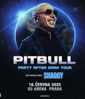 Pitbul praha