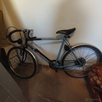 Bicykel eska