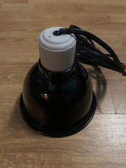 Terárijná lampa