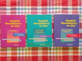 English Vocabulary in Use