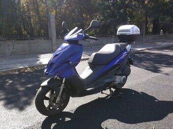 Predam MALAGUTI phantom max 200 piaggio