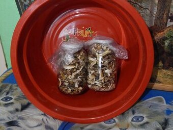 Predám sušené dubáky.