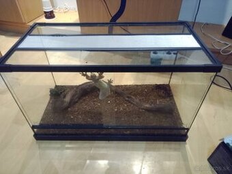 Terrarium+pagekon+vybava