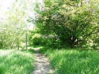 HALO reality - Predaj, pozemok   5834 m2 Trnava, zaujímavý i