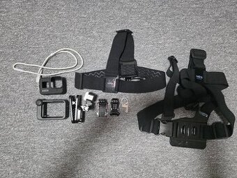 GoPro