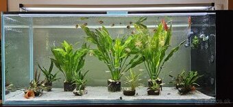 WRGB LED svetlo 150cm/100w