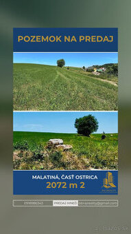 POZEMOK MALATINÁ, OSTRICA EXKLUZÍVNE