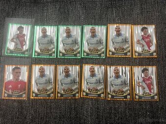 Fifa 365 panini samolepky