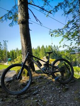 Marin Alpine Trail 2 carbon