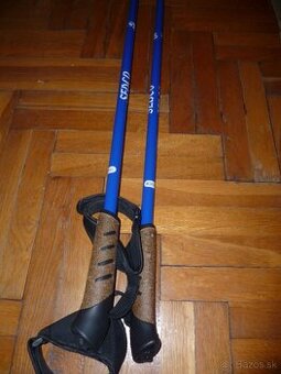 Palicky nordic walking