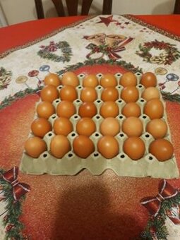 Predám domáce vajíčka