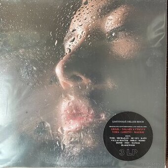 Renne Dang Dang 3 LP nové