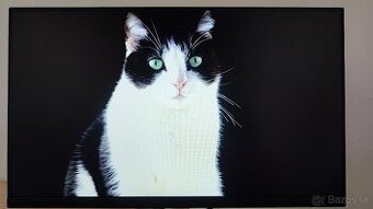 Monitor Dell P2222H Professional – ako nový + záruka