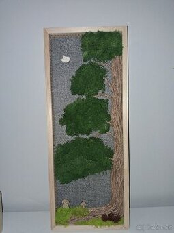 Machový obraz Sekvoja