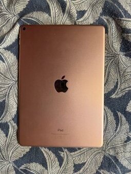 Apple Ipad