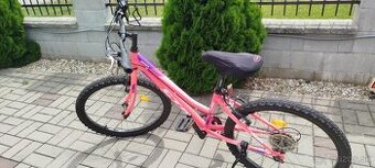 Bicykel CTM 24