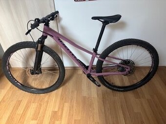 specialized pitch
