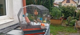 Predám klietku pre vtáčiky.