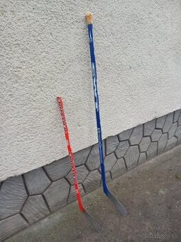 hokejka