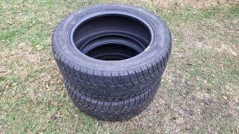 Zimné pneu Dunlop, 225/55 R17