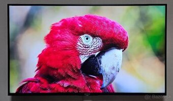 Sony Bravia KD-49XE8096