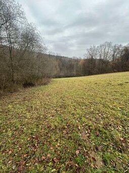 Predám pozemok pri Mníchovskom potoku - 1