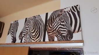 Obraz dekoracia na stenu