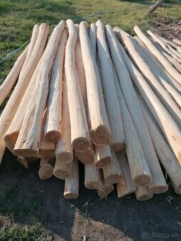 Agátové koly, stĺpy.