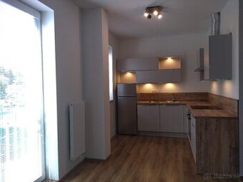 1-izbový byt, Zlatý potok (Darinka 2), s parkovaním