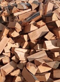 Palivové drevo Čistý BUK - 1