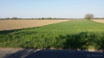 predám stavebný pozemok v Zálesí okr.Senec - 1