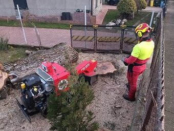 Frézovanie pňov - profesionálne riešenie bez kopania