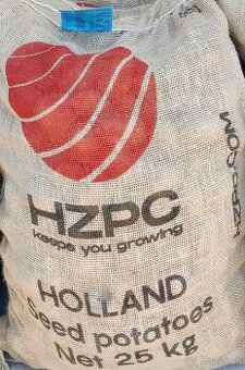 Sadbové zemiaky  SUNITA