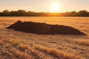 hnedozem ornica zem zemina
