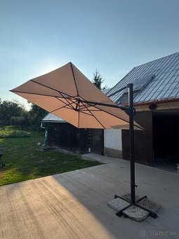 Slnečník