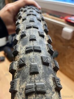 Maxxis Forekaster