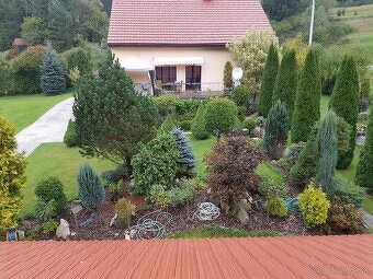 Ponúkam kosenie, tepovanie a úpravu záhrad – Bratislava aoko
