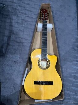 Nová elektroakusticka gitara